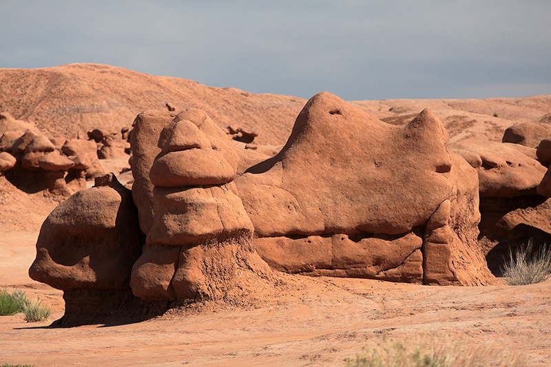 Bison : Antelope Island : Utah : Landscape Photos : Richard Moore : Photographer